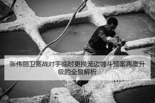 张伟丽卫冕战对手临时更换笼边缠斗预案再度升级的全景解析